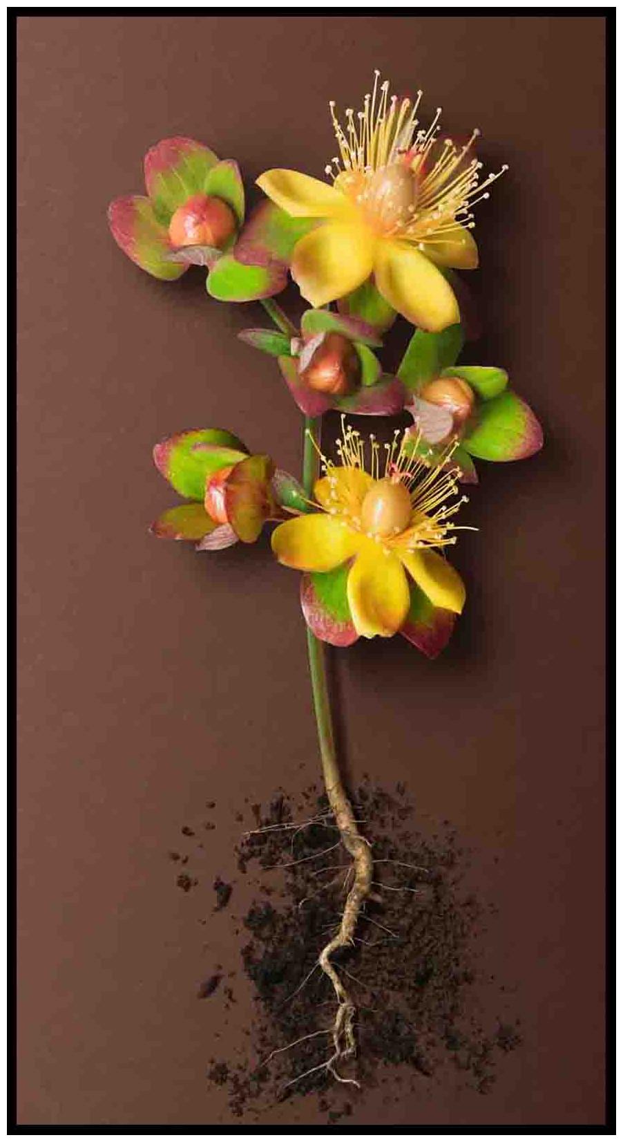 

Purvani Wall Art Printed on MDF with Hand Textured Lamination (7 x 4 inches)