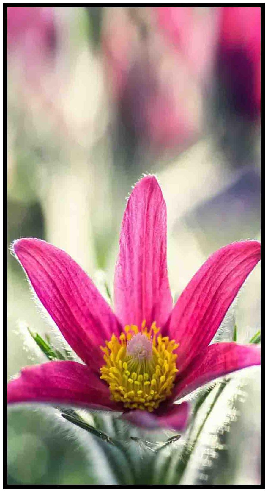 

Purvani Wall Arts on MDF with Texture Lamination (7 x 4 inches)