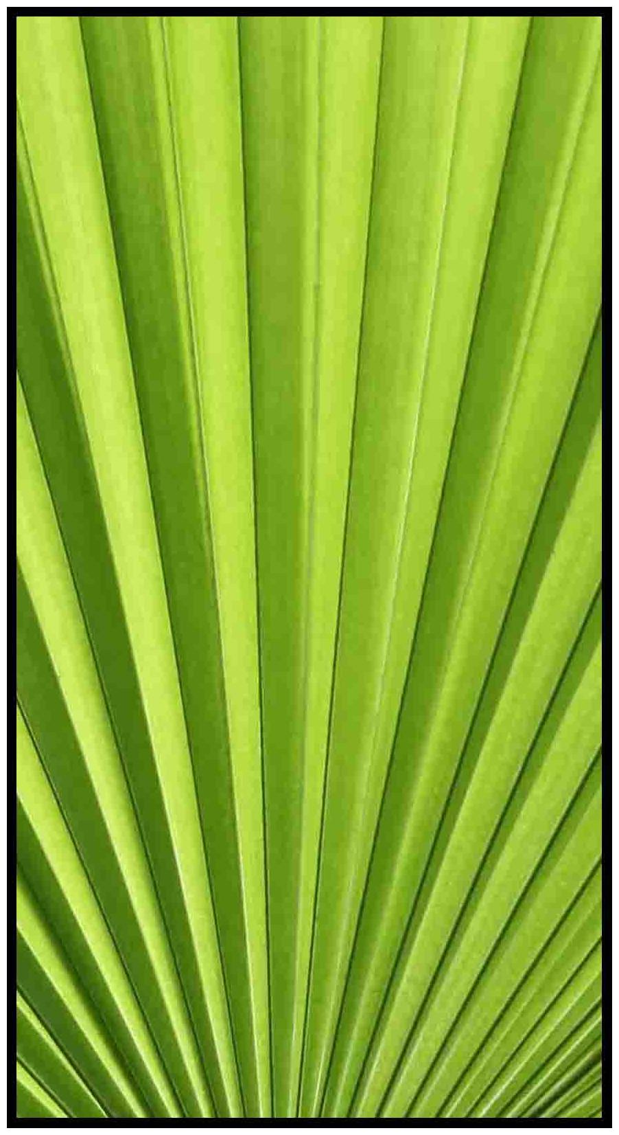 

Purvani Wall Art Printed on MDF with Hand Textured Lamination (7 x 4 inches)