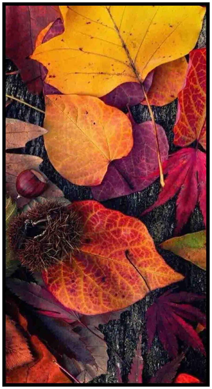 

Purvani Wall Art Printed on MDF with Hand Textured Lamination (7 x 4 inches)