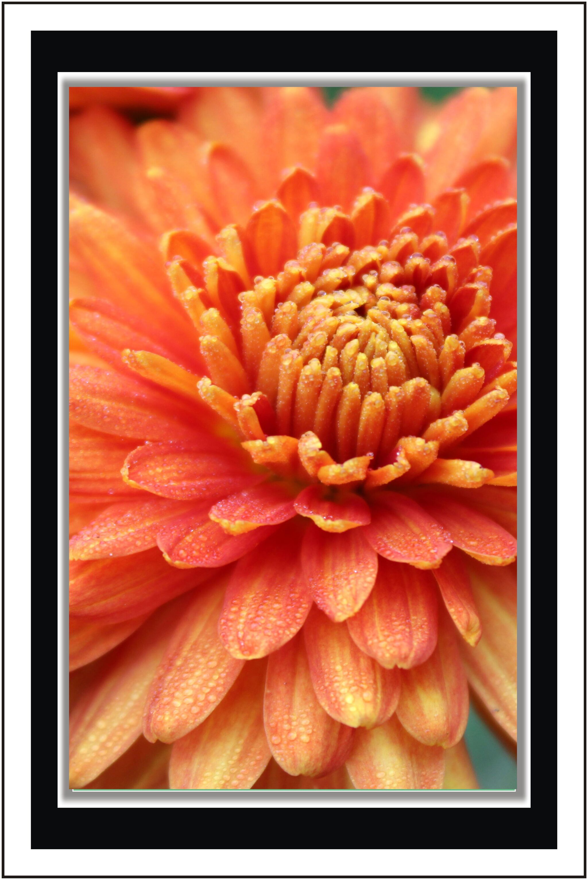 

PurvaniAutumn flower - Paper Poster Wall Sticker Print Decor Print