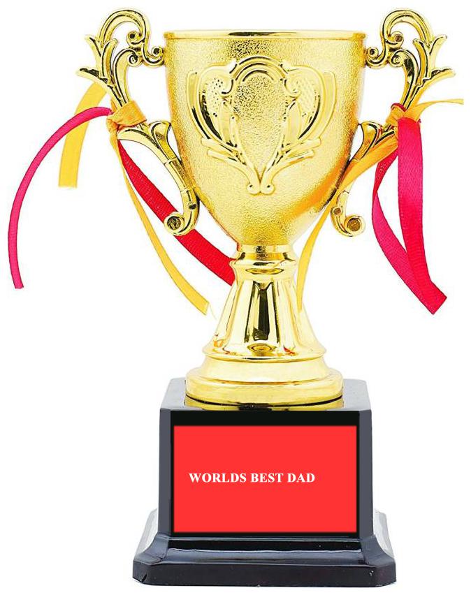 

Qth BEST DAD Trophy Award Gift By Qth Trophy (6 5 inch)