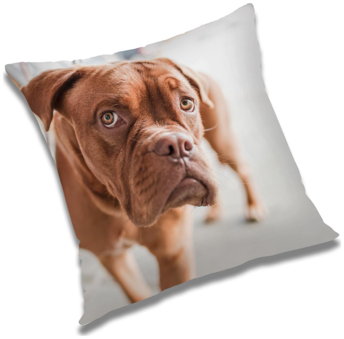 

RADANYA 3D Printed Cushion Cover with Filler Set 16x16 inch