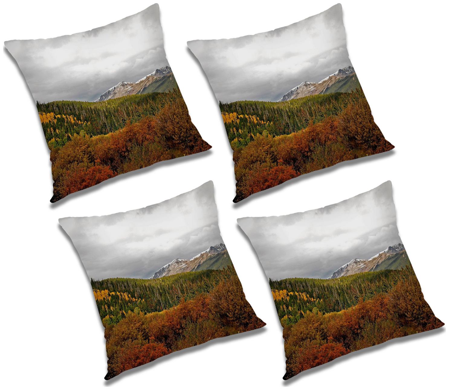 

RADANYA Abstract Cushion Cover with Filler (Set of 4) 16x16 inch