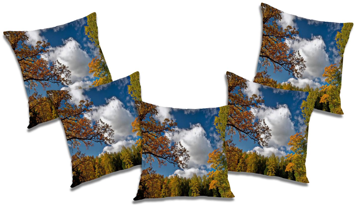 

RADANYA Abstract Cushion Cover (Set of 5) 20x20 inch