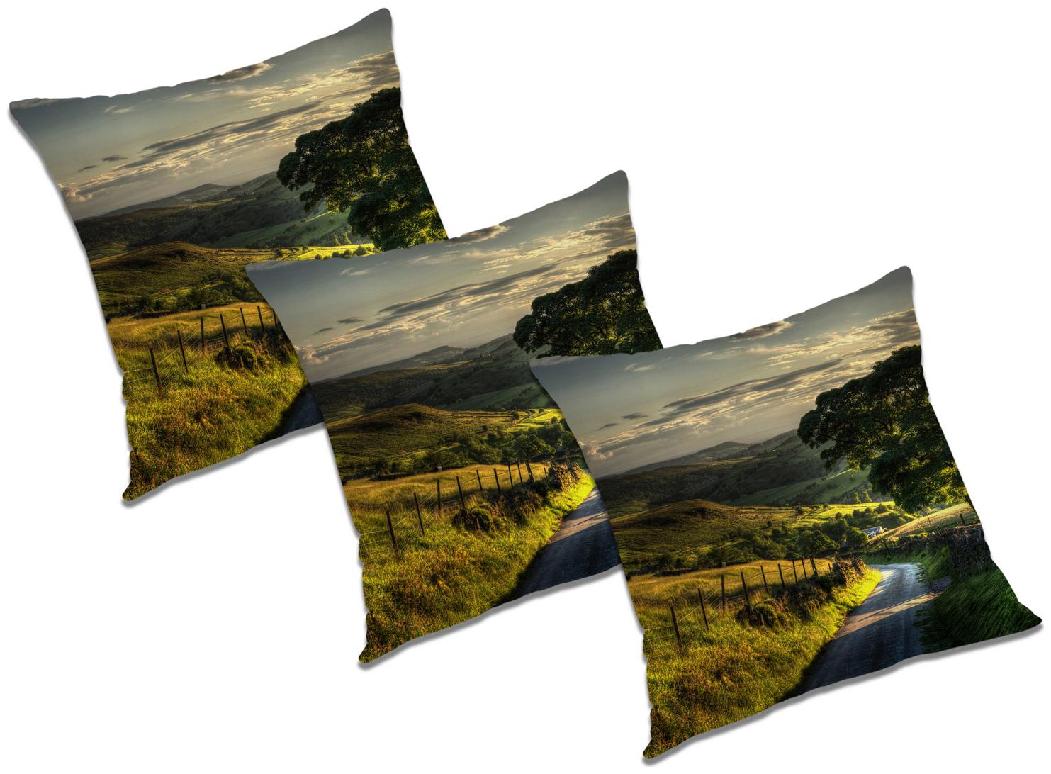 

RADANYA Abstract Cushion Cover with Filler (Set of 3) 20x20 inch