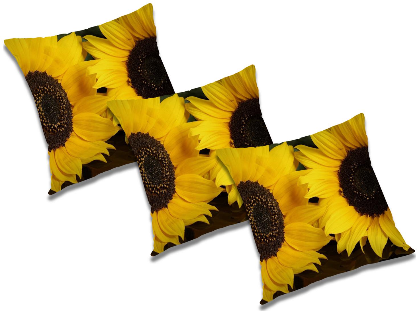 

RADANYA Abstract Cushion Cover with Filler (Set of 3) 16x16 inch