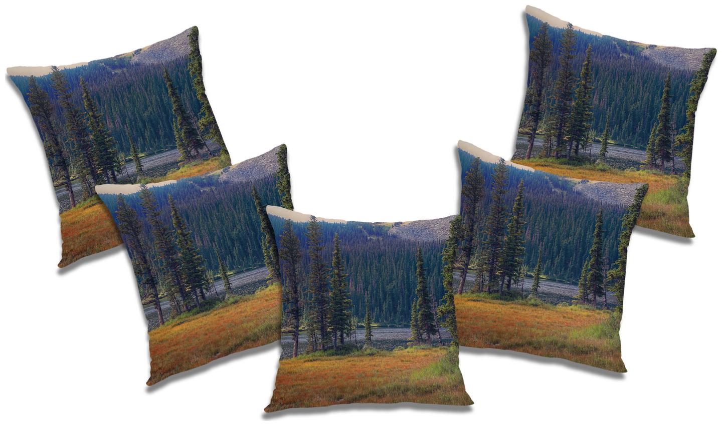 

RADANYA Abstract Cushion Cover with Filler (Set of 5) 16x16 inch