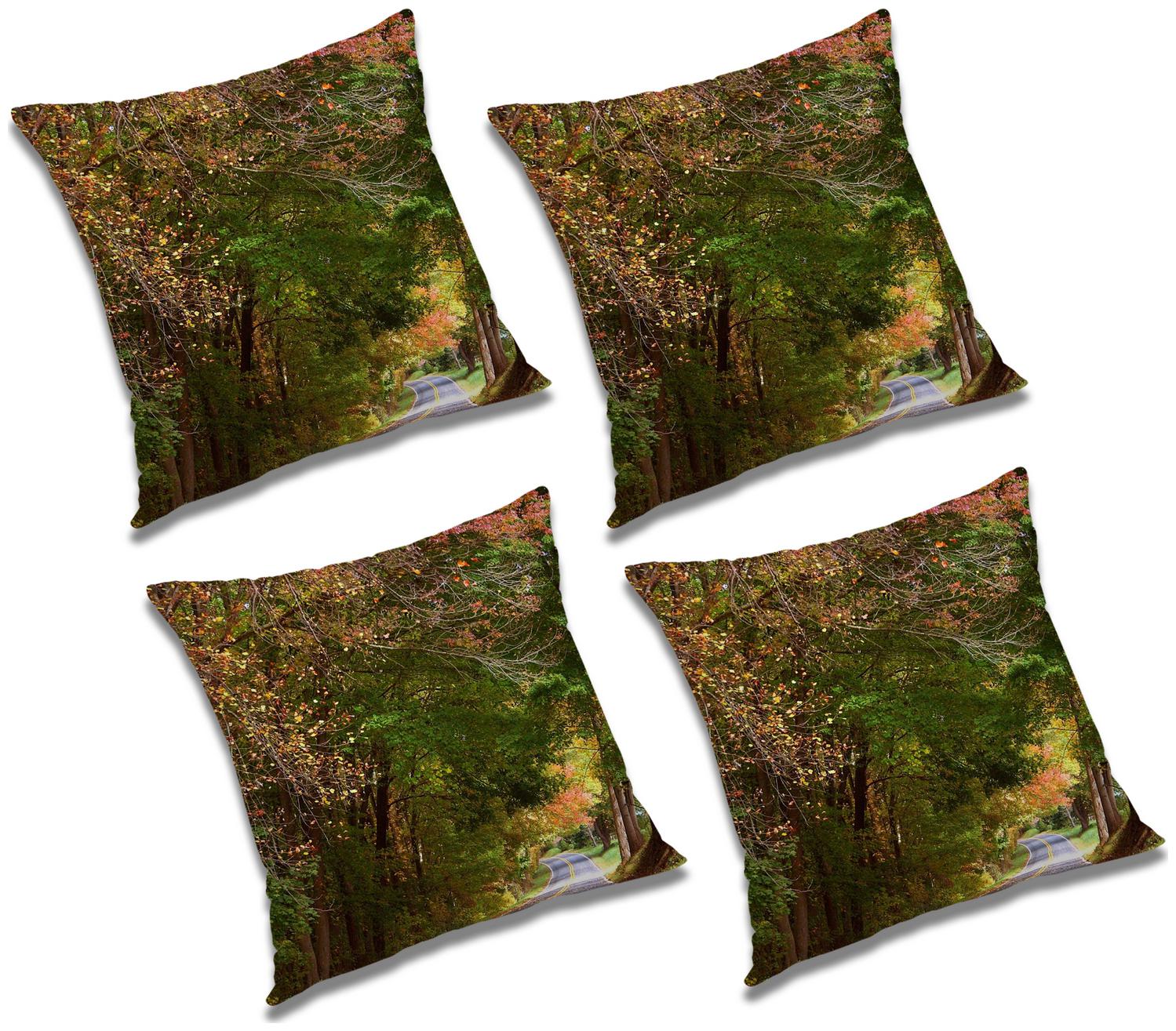 

RADANYA Abstract Cushion Cover with Filler (Set of 4) 18x18 inch