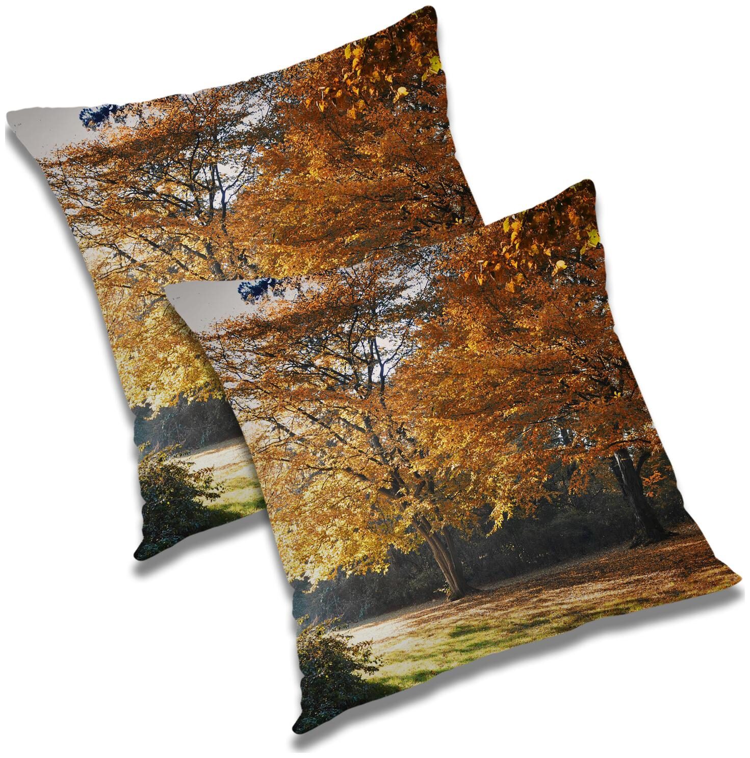 

RADANYA Abstract Cushion Cover with Filler (Set of 2) 16x16 inch