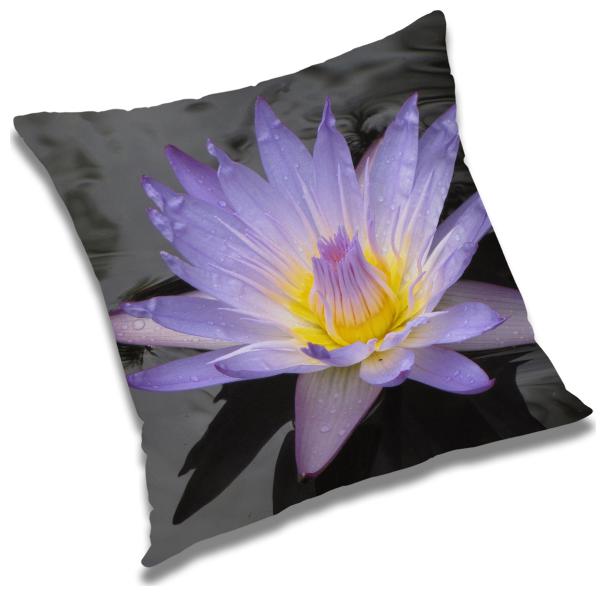 

RADANYA Abstract Cushion Cover with Filler Set 16x16 inch