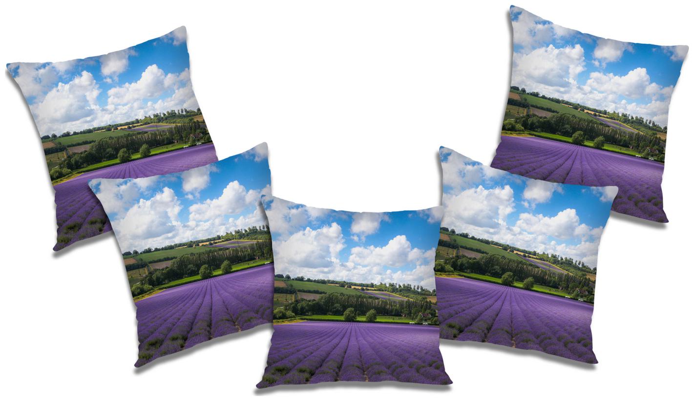 

RADANYA Abstract Cushion Cover (Set of 5) 18x18 inch