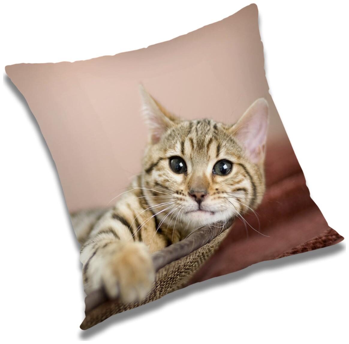 

RADANYA Abstract Cushion Cover with Filler Set 16x16 inch