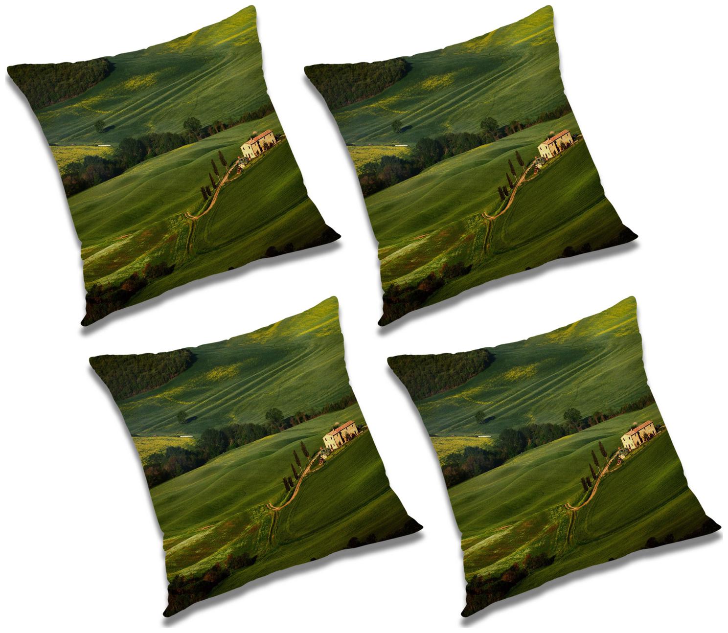 

RADANYA Abstract Cushion Cover (Set of 4) 18x18 inch
