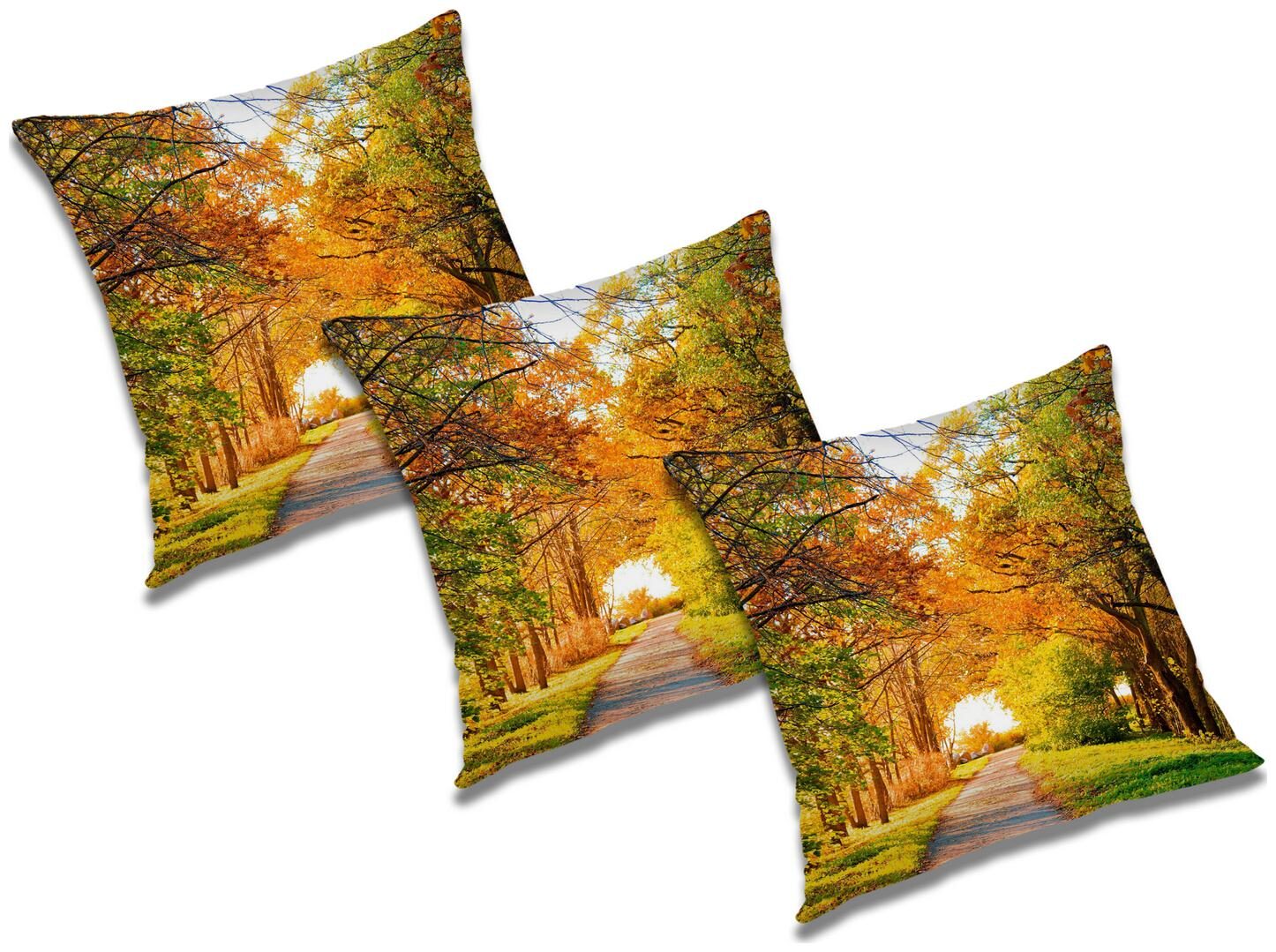

RADANYA Abstract Cushion Cover (Set of 3) 20x20 inch