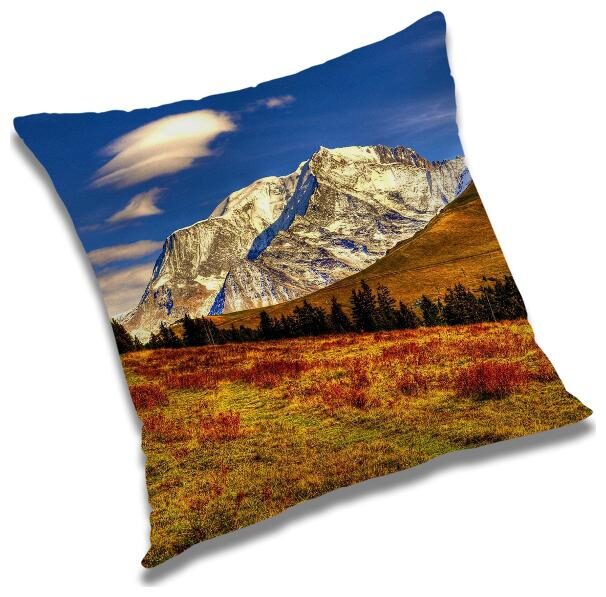 

RADANYA Abstract Cushion Cover with Filler Set 12X12 inch