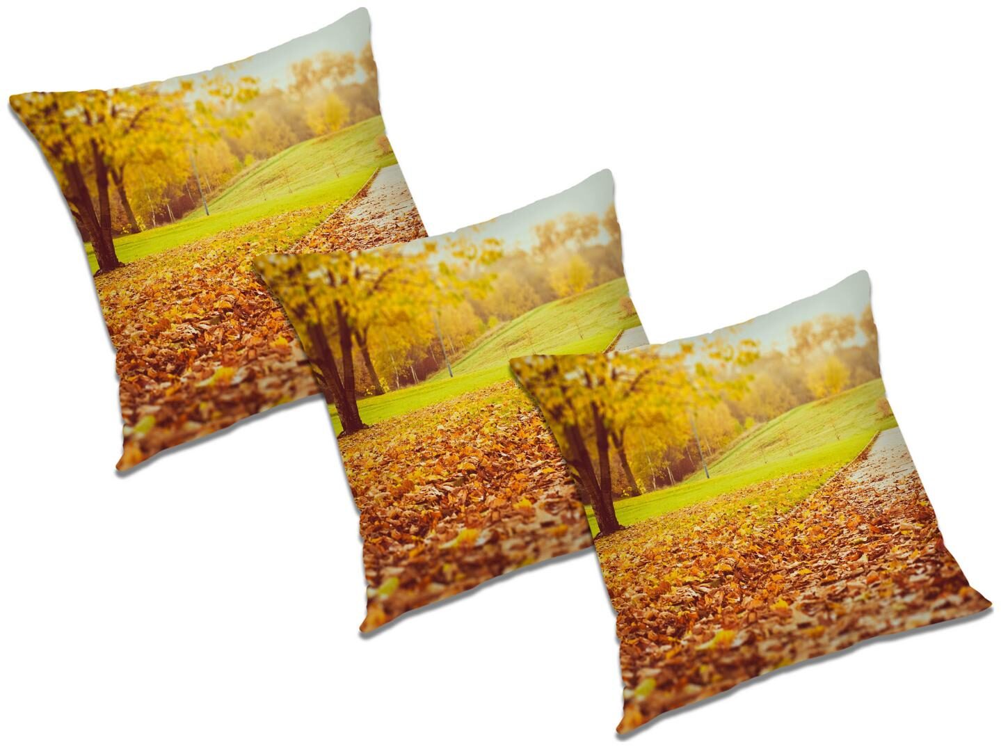 

RADANYA Abstract Cushion Cover with Filler (Set of 3) 20x20 inch