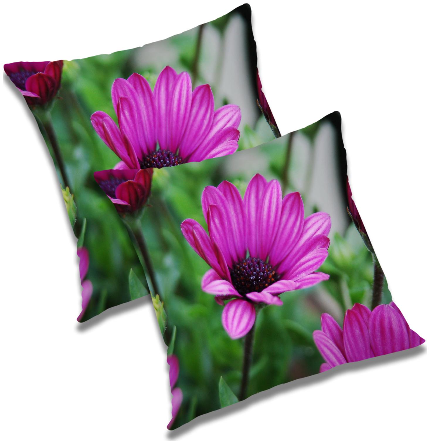 

RADANYA Abstract Cushion Cover with Filler (Set of 2) 18x18 inch