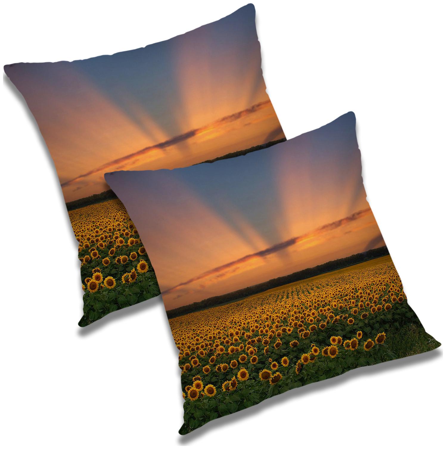 

RADANYA Abstract Cushion Cover with Filler (Set of 2) 20x20 inch