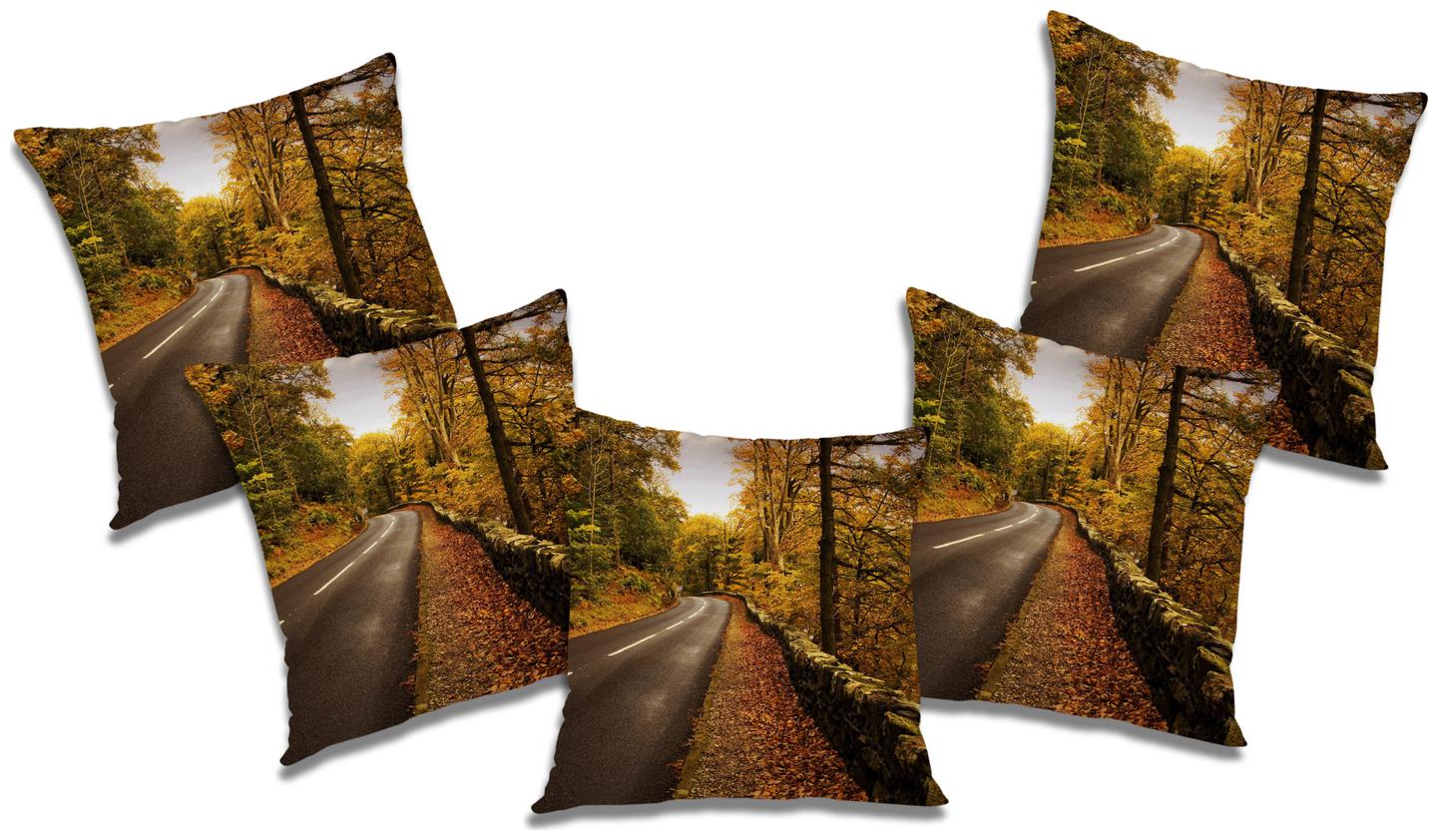 

RADANYA Abstract Cushion Cover (Set of 5) 20x20 inch