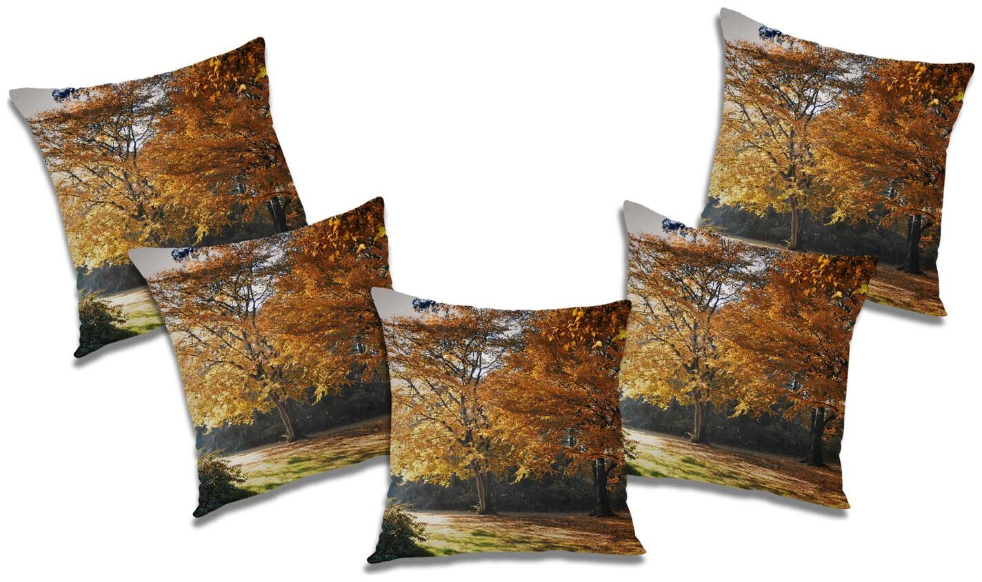 

RADANYA Abstract Cushion Cover with Filler (Set of 5) 12X12 inch