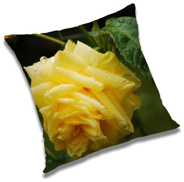 

RADANYA Abstract Cushion Cover with Filler Set 18x18 inch