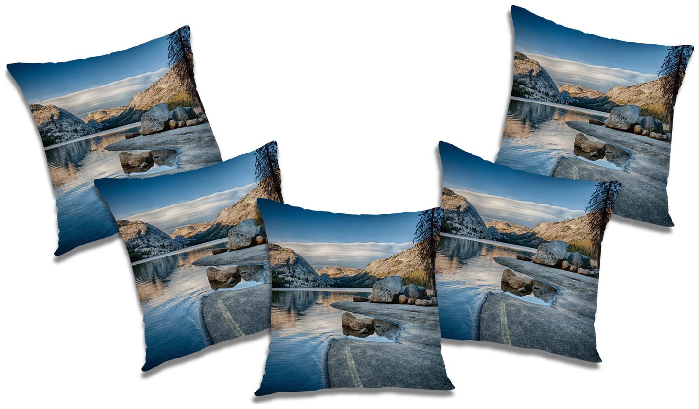 

RADANYA Abstract Cushion Cover (Set of 5) 18x18 inch