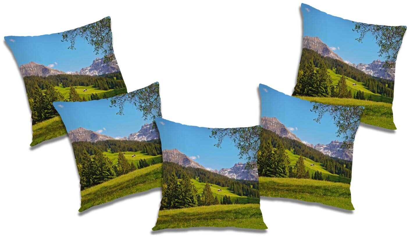 

RADANYA Abstract Cushion Cover (Set of 5) 12X12 inch