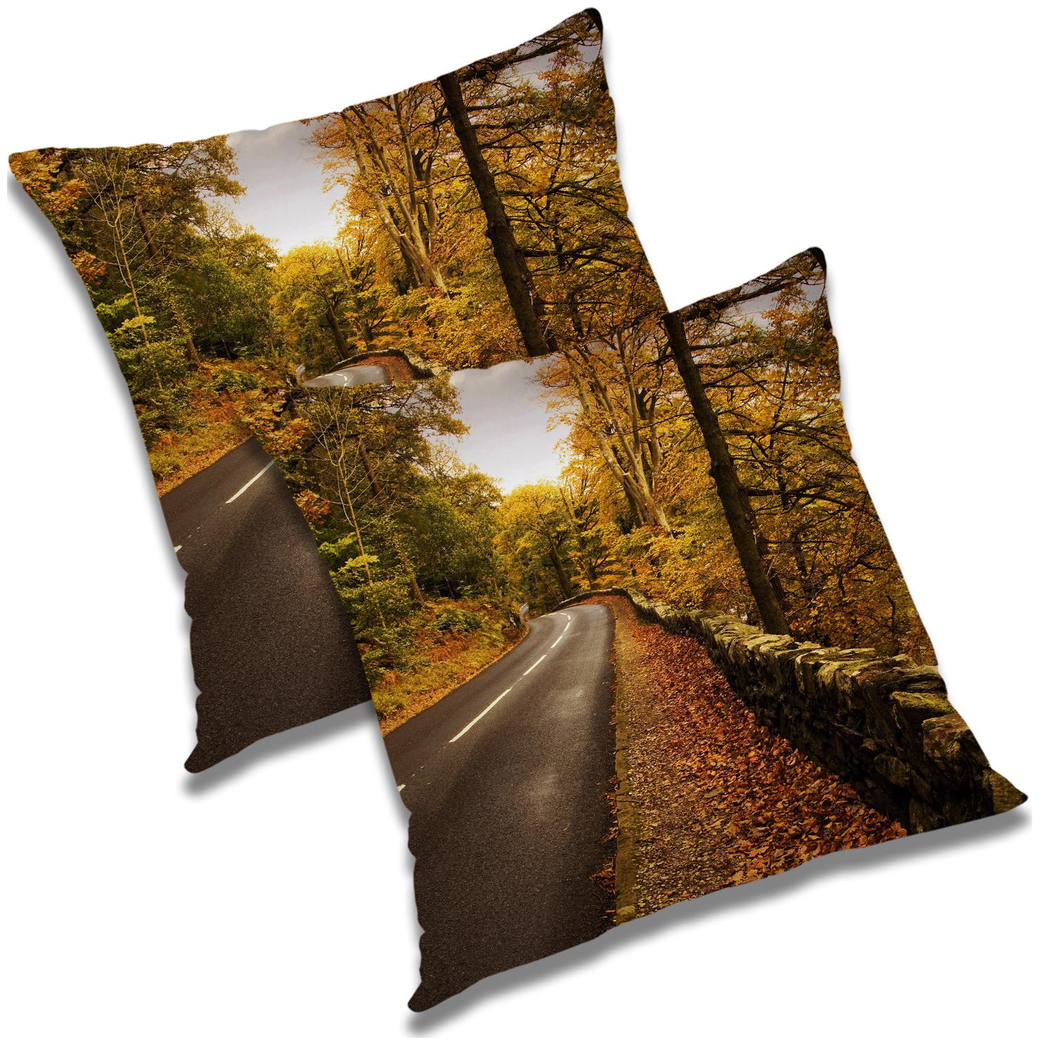

RADANYA Abstract Cushion Cover with Filler (Set of 2) 16x16 inch