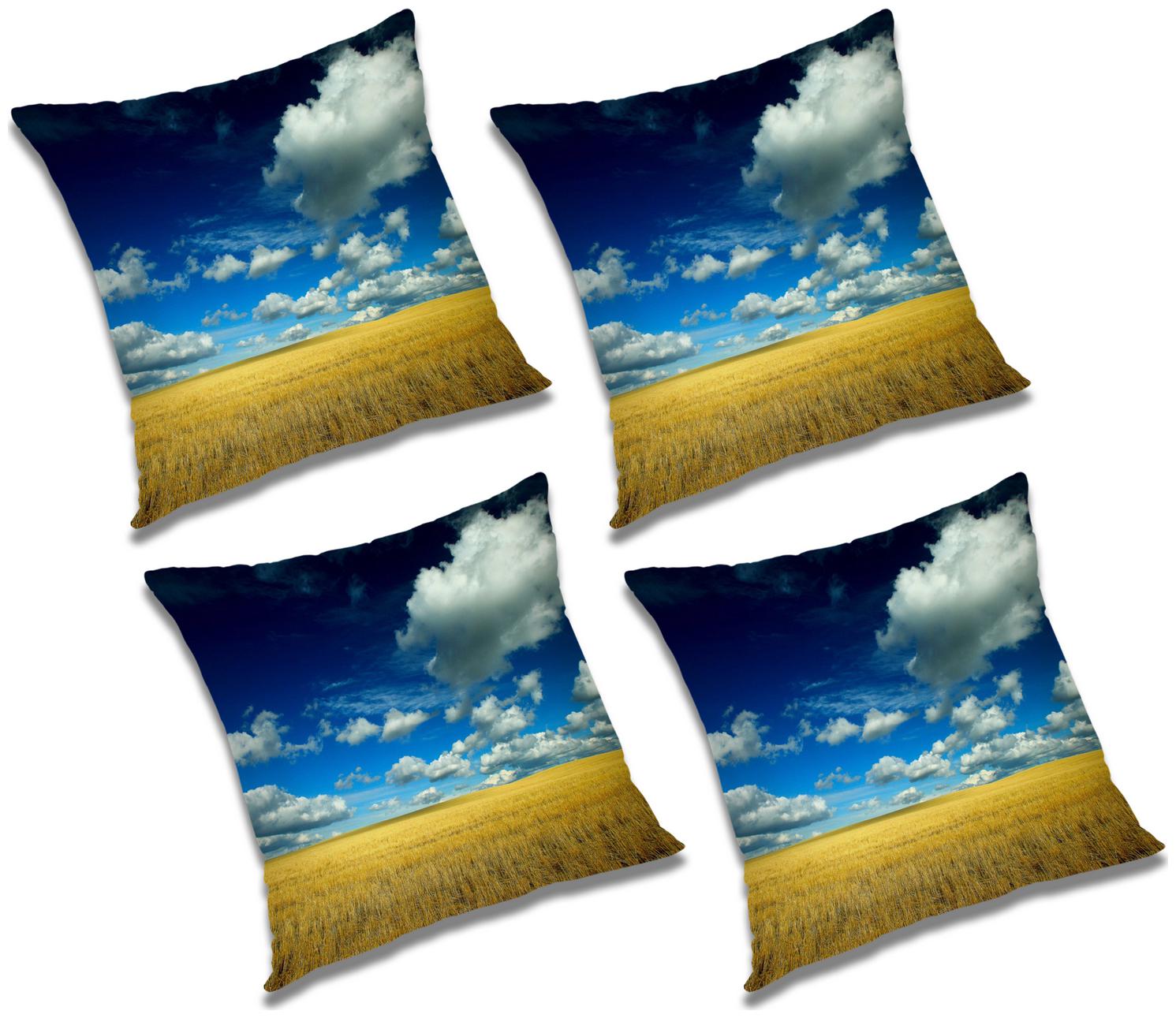 

RADANYA Abstract Cushion Cover (Set of 4) 20x20 inch