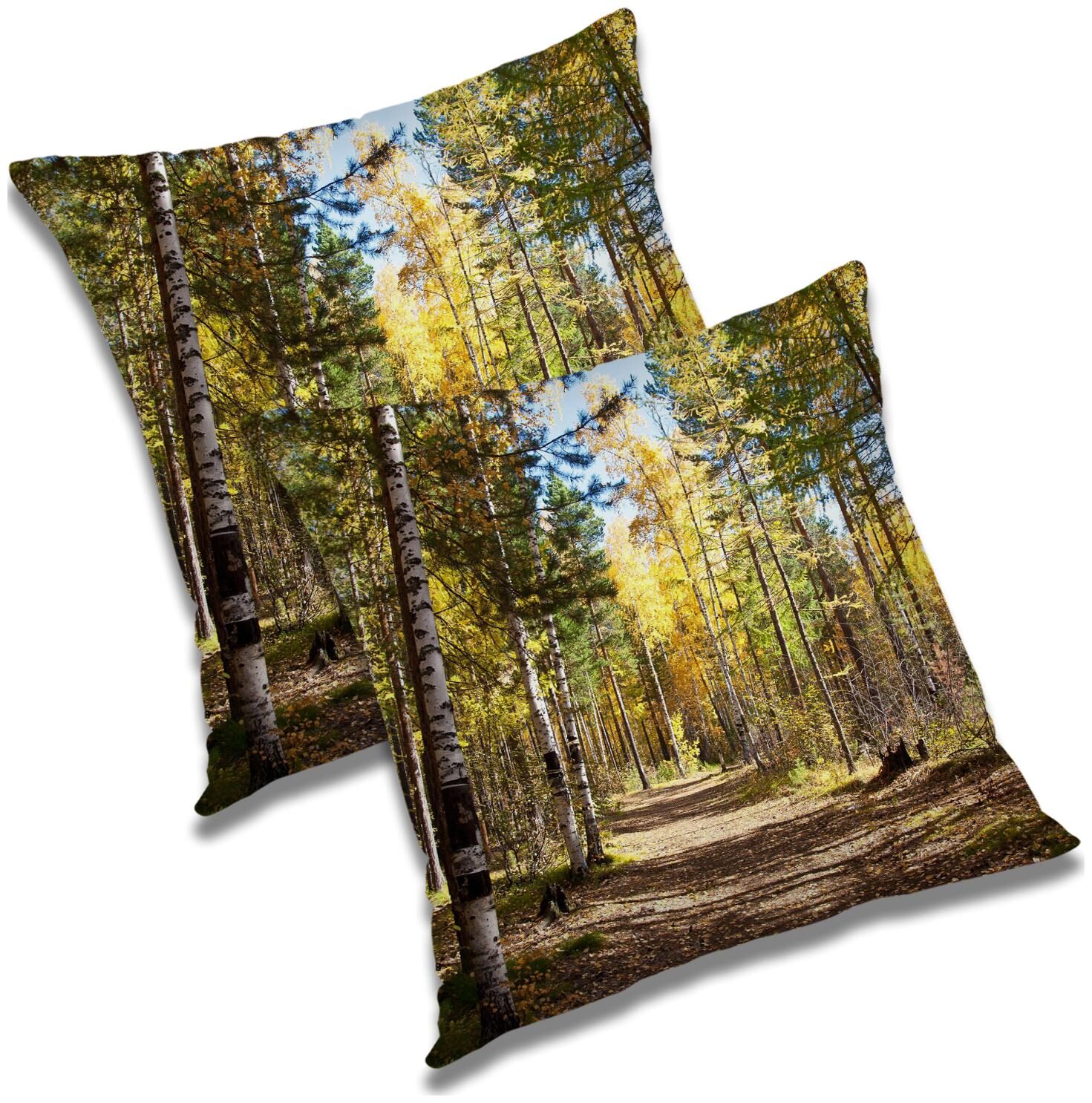 

RADANYA Abstract Cushion Cover with Filler (Set of 2) 20x20 inch