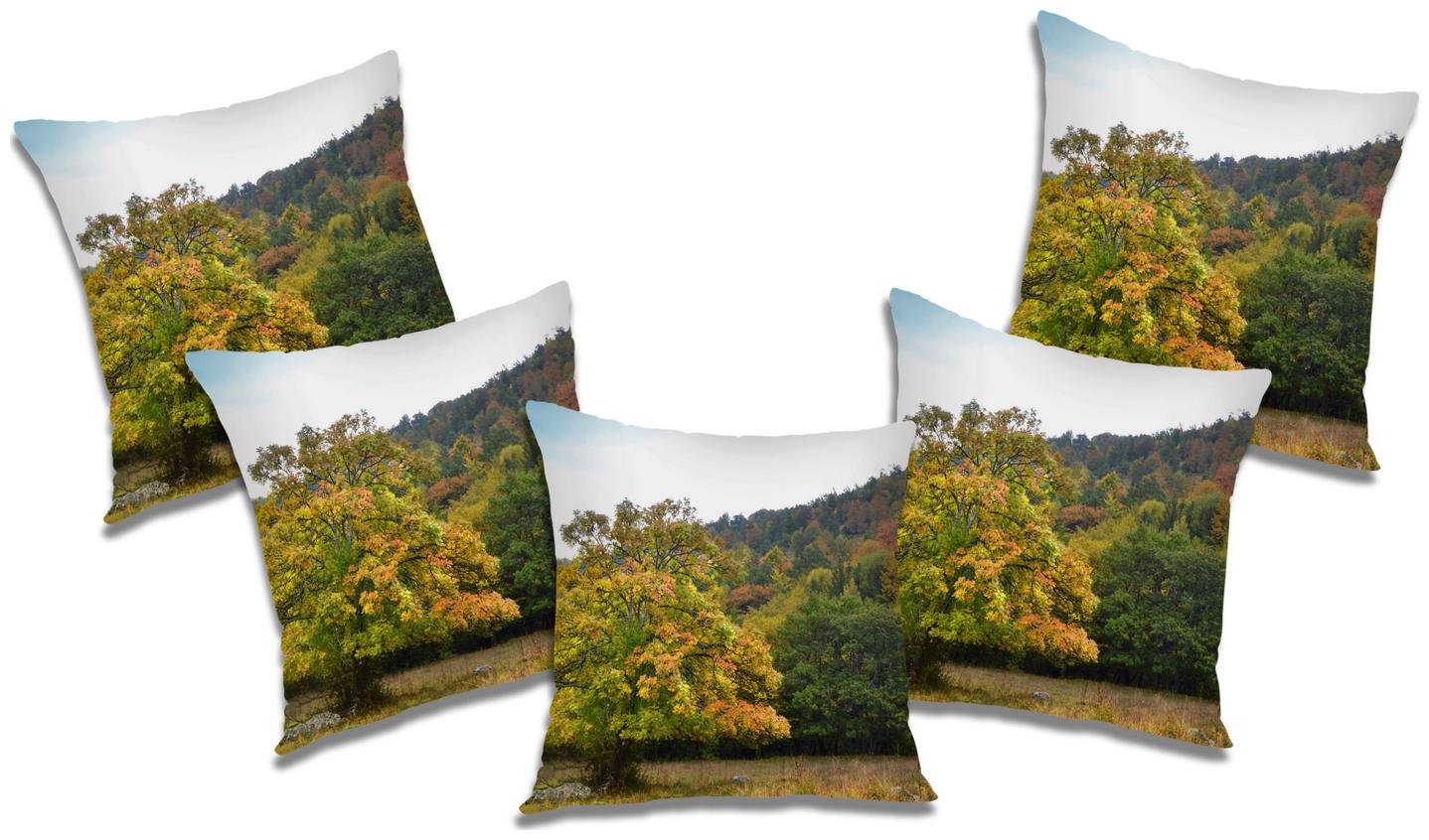 

RADANYA Abstract Cushion Cover (Set of 5) 16x16 inch