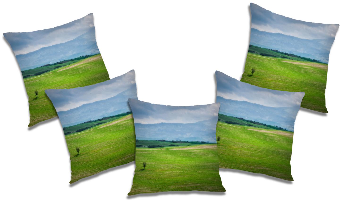 

RADANYA Abstract Cushion Cover (Set of 5) 18x18 inch