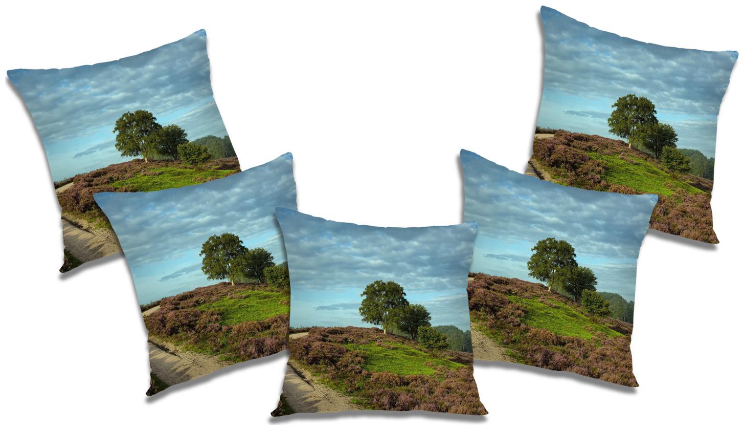 

RADANYA Abstract Cushion Cover (Set of 5) 24x24 inch
