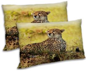 RADANYA Polyester Animal Pillow Covers ( Pack of 2 , Multi )