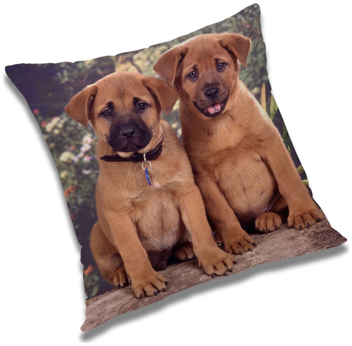 

RADANYA Animal Cushion Cover 24x24 inch
