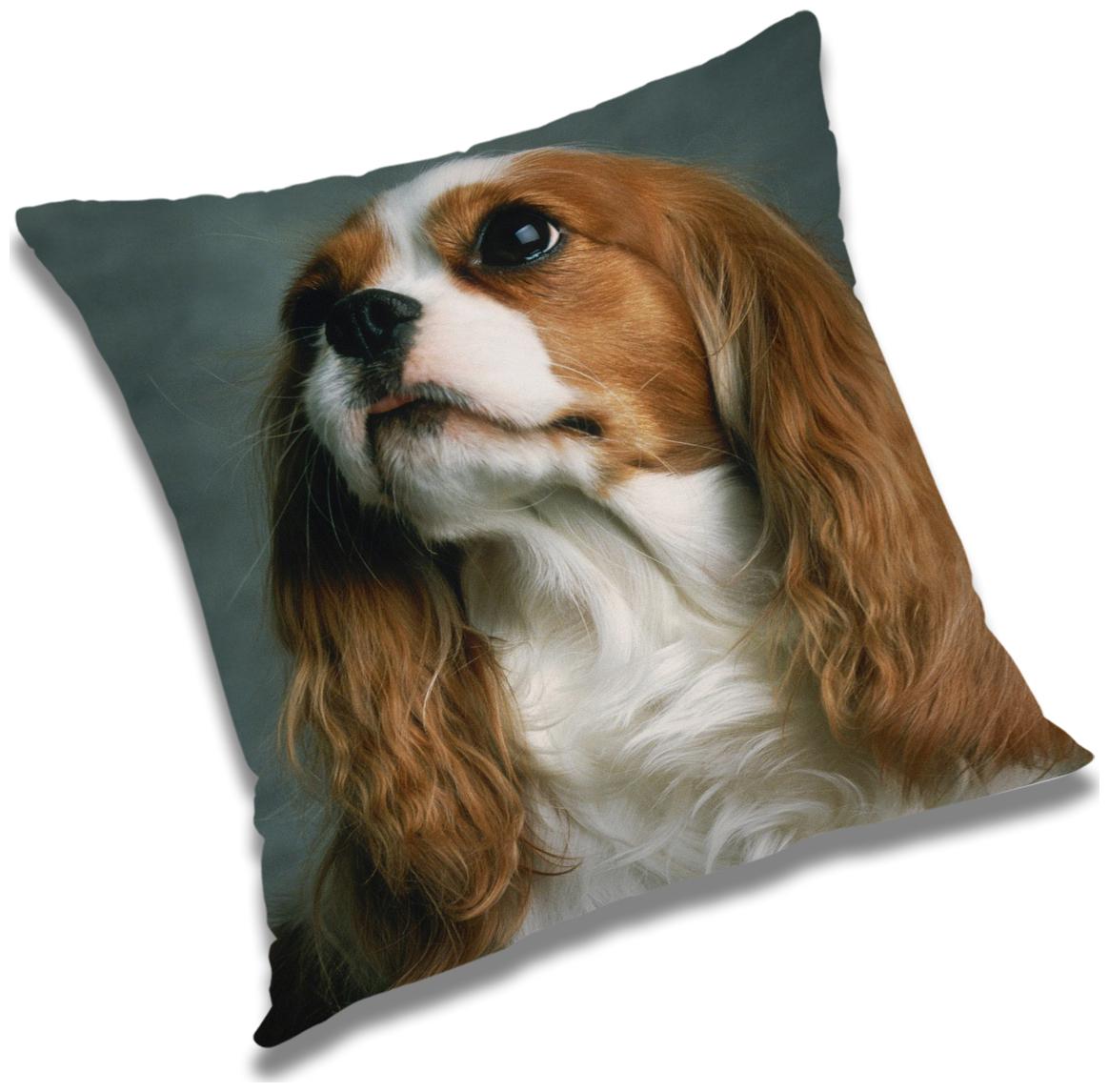 

RADANYA Animal Cushion Cover 16x16 inch