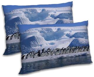 RADANYA Polyester Animal Pillow Covers ( Pack of 2 , Blue )