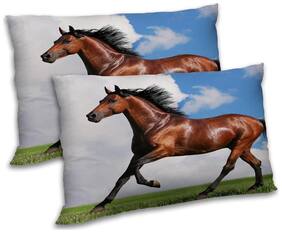 RADANYA Polyester Animal Pillow Covers ( Pack of 2 , Multi )