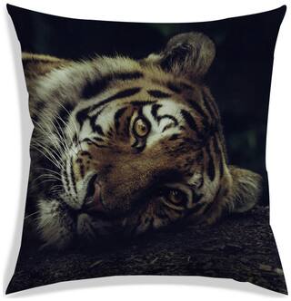 RADANYA Printed Polyester Green Cushion Cover ( Large , Pack of 1 )