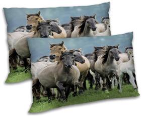RADANYA Polyester Animal Pillow Covers ( Pack of 2 , Multi )