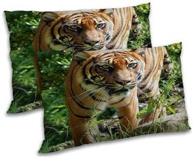 RADANYA Polyester Animal Pillow Covers ( Pack of 2 , Brown )