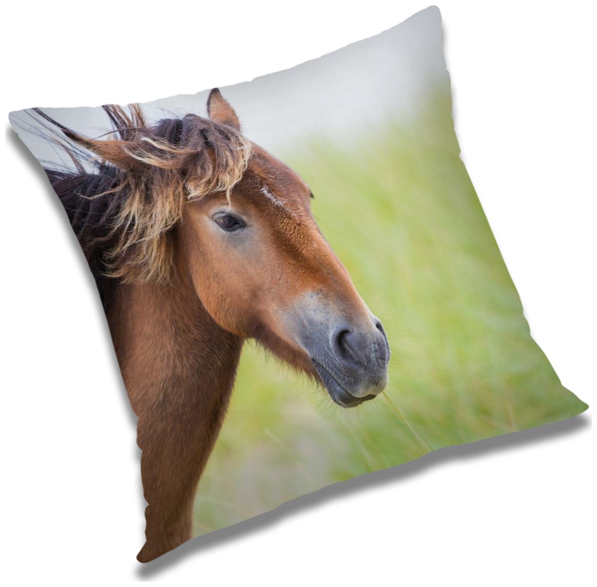 

RADANYA Printed Polyester White Cushion Cover ( Extra large Pack of 1 )