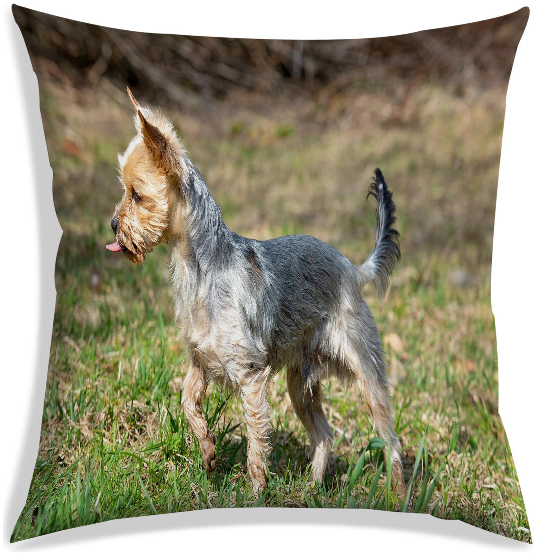 

RADANYA Animal Digital Printing Pillow Case Polyester Sofa Throw Cushion Cover Decor Multicolor(24x24 inch)