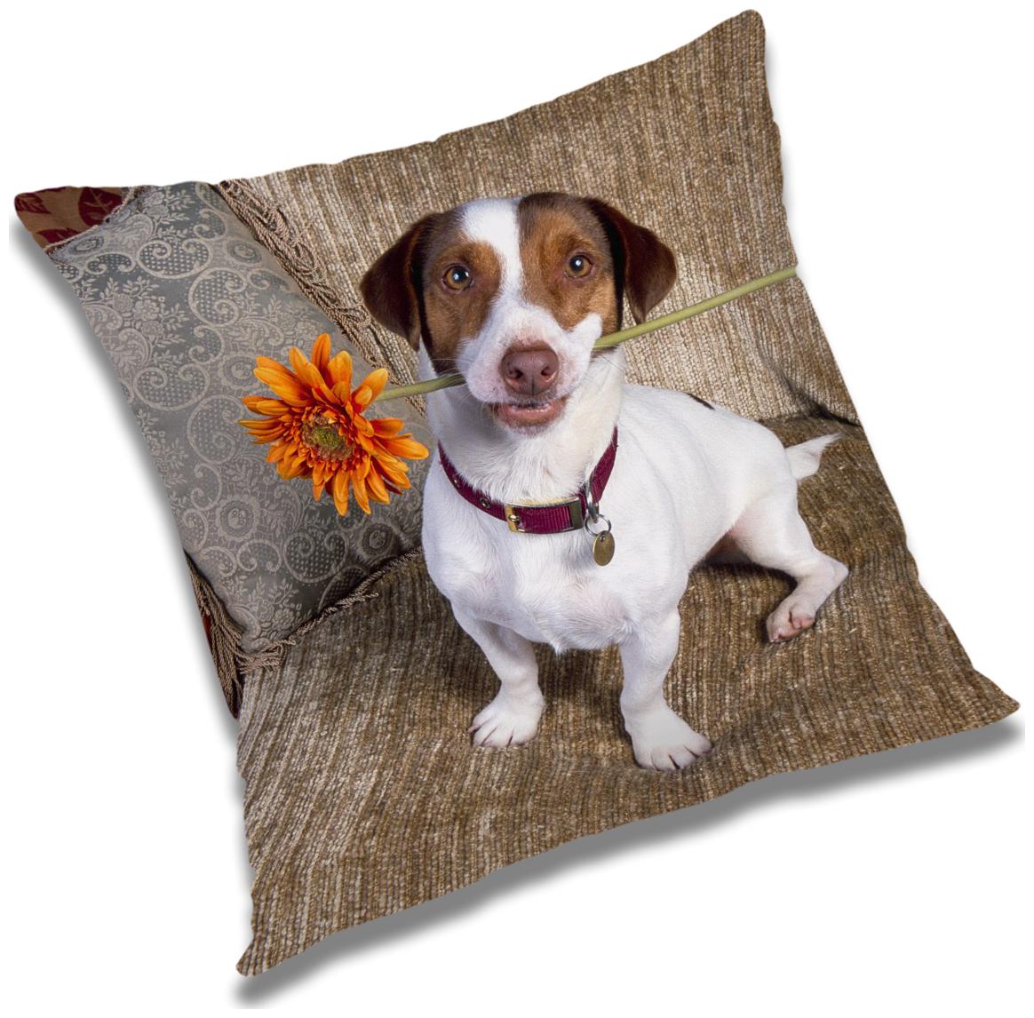 

RADANYA Animal Cushion Cover with Filler Set 18x18 inch