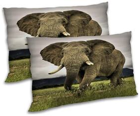 RADANYA Polyester Animal Pillow Covers ( Pack of 2 , Multi )