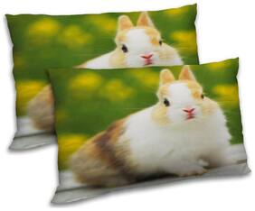 RADANYA Polyester Animal Pillow Covers ( Pack of 2 , Multi )