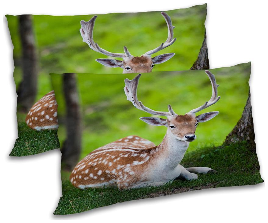 https://assetscdn1.paytm.com/images/catalog/product/H/HO/HOMRADANYA-ANIMRADA9934033A541D3/1563045384570_0..jpg
