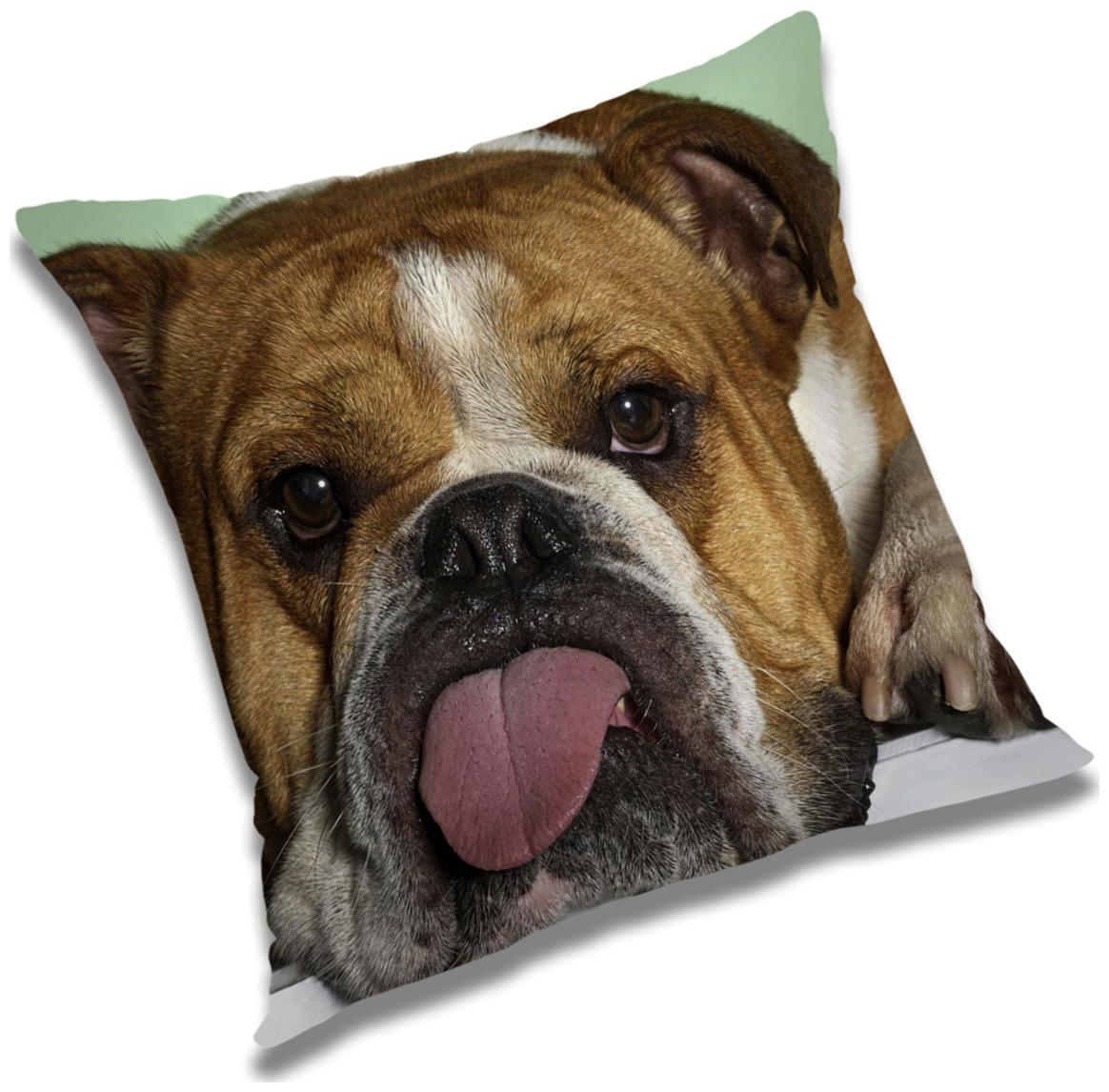 

RADANYA Animal Cushion Cover with Filler Set 18x18 inch