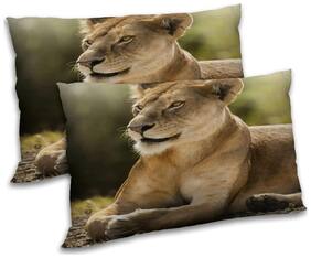 RADANYA Polyester Animal Pillow Covers ( Pack of 2 , Multi )
